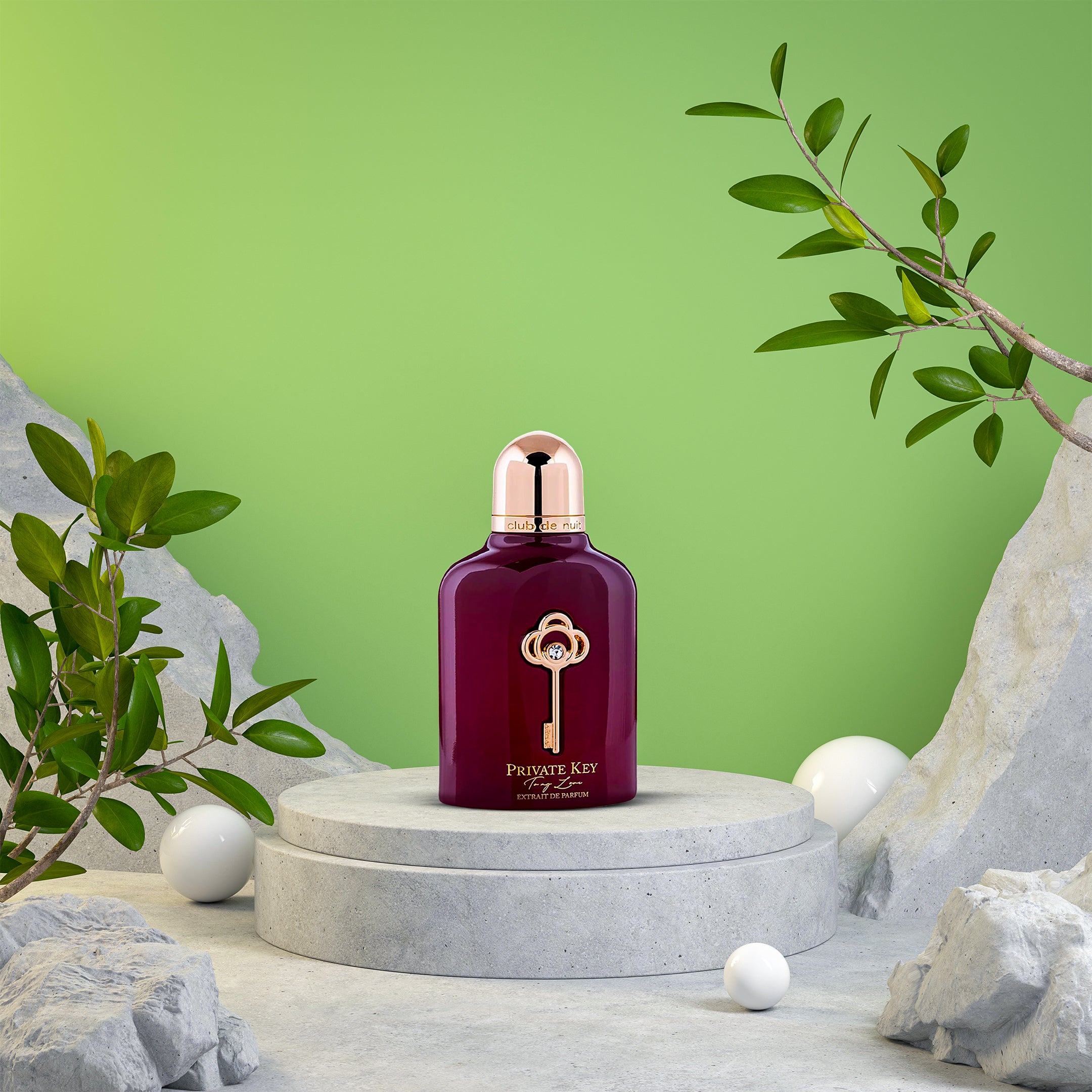 Private Key To My Love By Armaf Club De Nuit